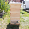 Natural wooden 10-frame beehive with a bottom robbing screen attached, handmade and Amish made, situated outdoors in a garden setting with green grass and a white picket fence nearby.