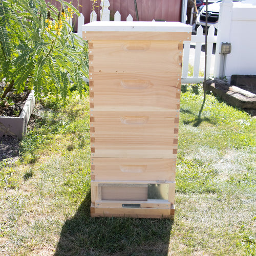 Natural wooden 10-frame beehive with a bottom robbing screen attached, handmade and Amish made, situated outdoors in a garden setting with green grass and a white picket fence nearby.