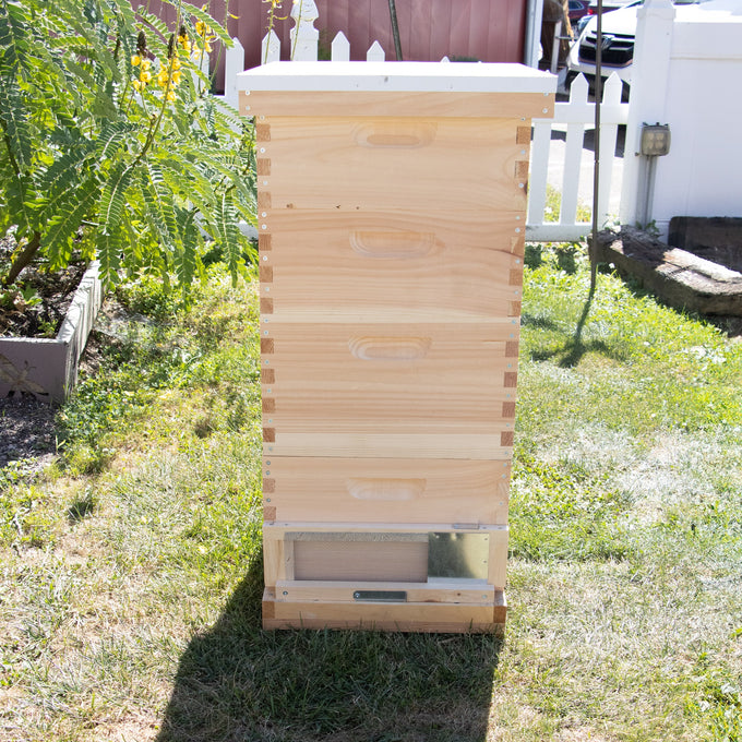 Natural wooden 10-frame beehive with a bottom robbing screen attached, handmade and Amish made, situated outdoors in a garden setting with green grass and a white picket fence nearby.