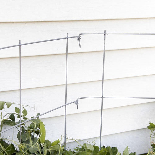 Close-up of a handcrafted metal pea fence in a garden setting, providing sturdy plant support for peas and straw bale gardens, made in USA and featured in Farm, Garden & Tool collections.