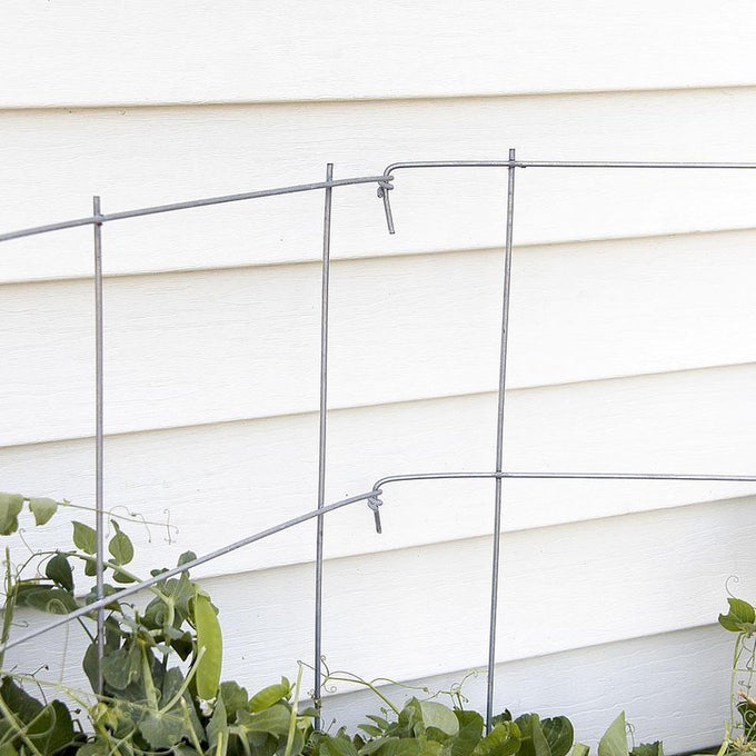 Close-up of a handcrafted metal pea fence in a garden setting, providing sturdy plant support for peas and straw bale gardens, made in USA and featured in Farm, Garden & Tool collections.
