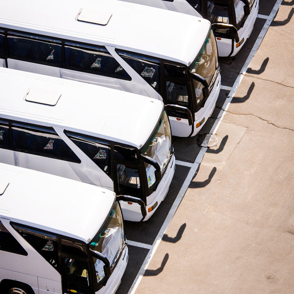 Bus Tours