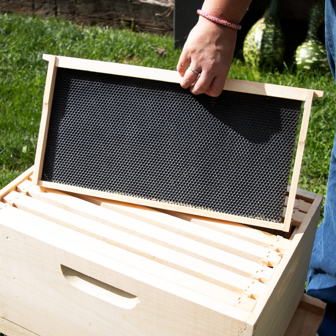 Handcrafted wooden 8-frame beehive component with black honeycomb foundation being placed in a natural wood hive box, ideal for Farm, Garden & Tool and Beekeeping Supplies collections.