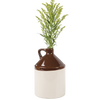 Handcrafted stoneware jug with a brown glazed top and cream-colored base, featuring a handle and filled with green foliage, ideal for Kitchen & Food, Storage and Serving, Best Sellers, and Promo Eligible collections.