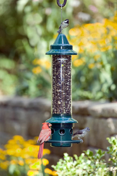Green squirrel-proof bird feeder with multiple feeding ports attracting various small birds, set against a vibrant garden backdrop, ideal for Farm, Garden & Tool and Animal Care collections.