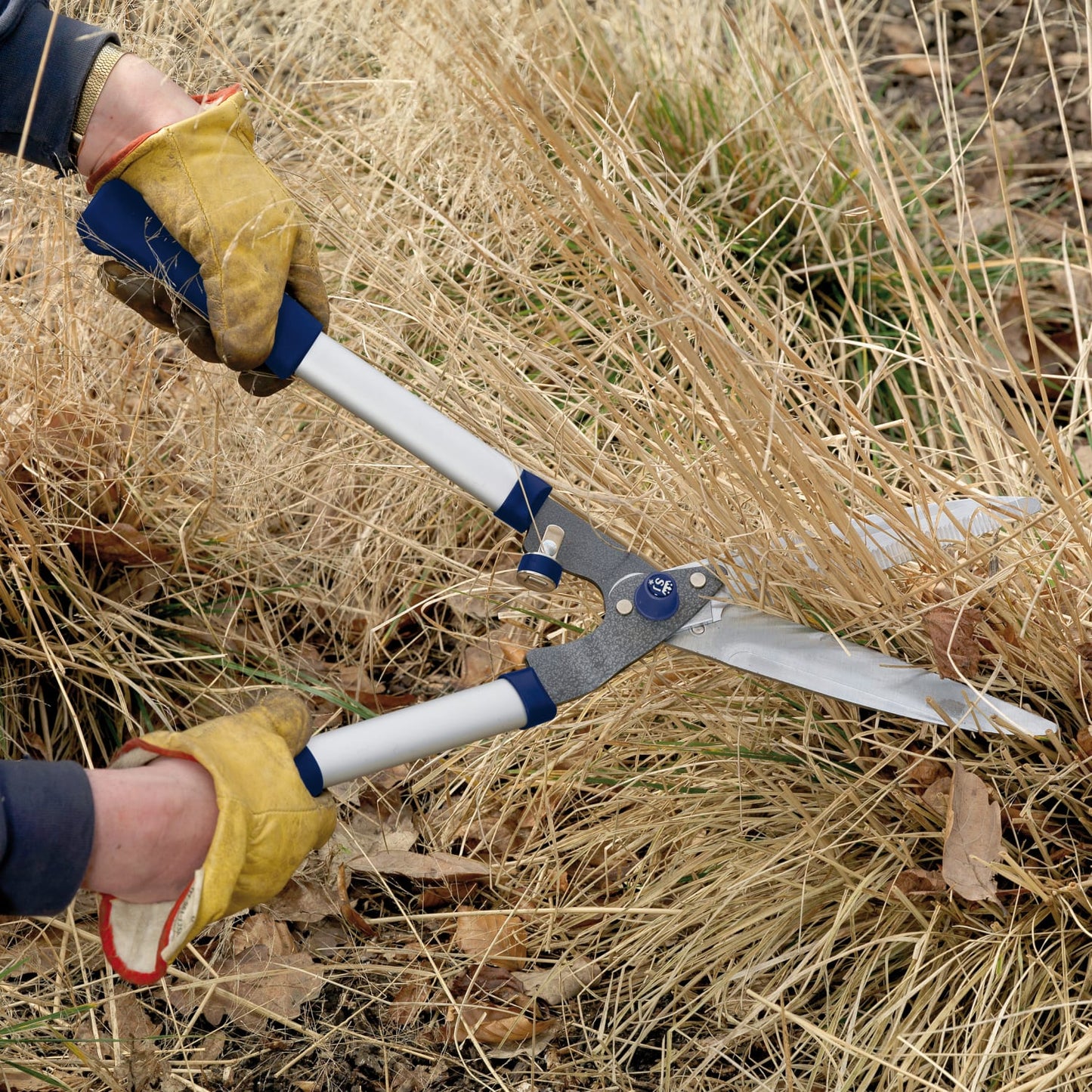 Notched hedge shears with chrome-plated C50 carbon steel blades and cushioned blue handles, designed for pruning thicker stems with precision, part of Farm, Garden & Tool and Lawncare collections.