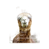 Adorable llama magnet featuring the uplifting Bible verse "fearfully and wonderfully made" from Psalm 139:14, crafted for Home & Decor, Best Sellers, and Promo Eligible collections.