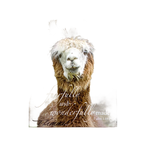Adorable llama magnet featuring the uplifting Bible verse "fearfully and wonderfully made" from Psalm 139:14, crafted for Home & Decor, Best Sellers, and Promo Eligible collections.