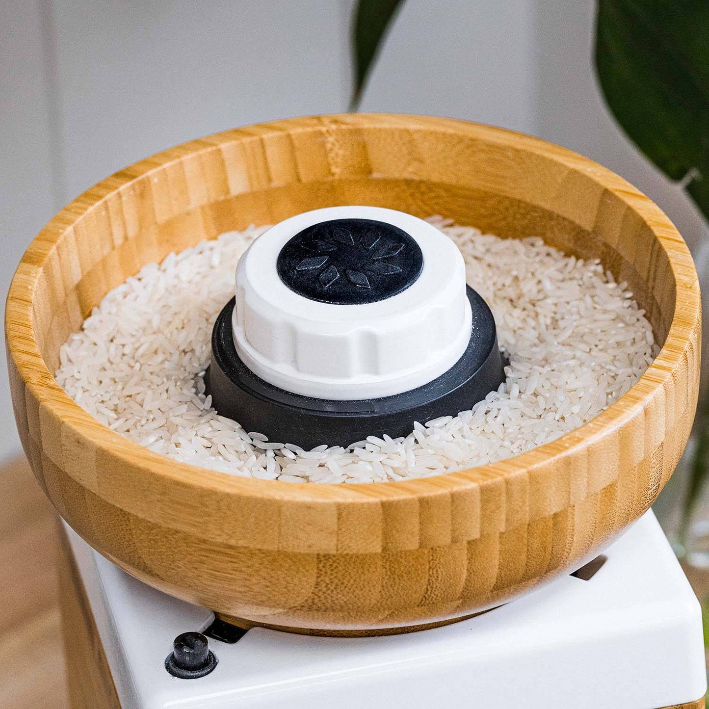 Top view of a natural bamboo bowl filled with white rice grains, fitted on a white electric base, featured in Kitchen & Food and Grain Mills collections.