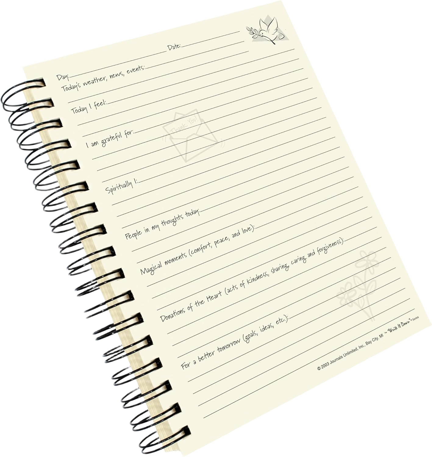 Gratitude Journal - Write it Down! Guided Journal