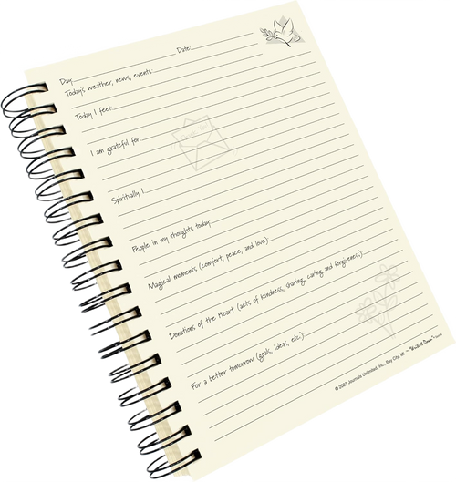 Gratitude Journal - Write it Down! Guided Journal