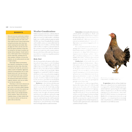 Close-up of a section from a farming guidebook page on rodent control with detailed text and an image of a standing hen, featured in Farm, Garden & Tool, Toys, Books & Games, Chicken Accessories, and Farm and Livestock Books collections.