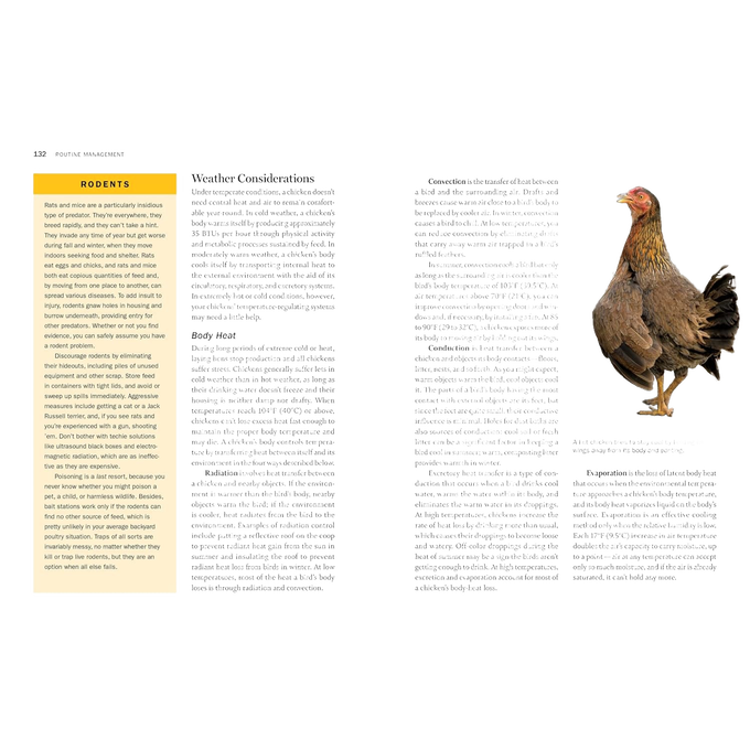 Close-up of a section from a farming guidebook page on rodent control with detailed text and an image of a standing hen, featured in Farm, Garden & Tool, Toys, Books & Games, Chicken Accessories, and Farm and Livestock Books collections.