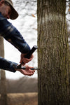 Man wearing a hat and plaid shirt installing a metal spile into a tree trunk for sap collection, set outdoors in a natural wooded area, related to maple syrup sugaring supplies.