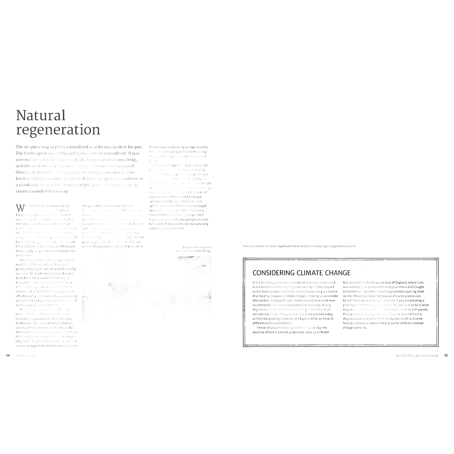 Two-page spread from a comprehensive guide on small woodland management, featuring detailed text, a photograph of outdoor woodland trees and plants, and a boxed section discussing climate change, styled in an instructional layout suitable for home and garden enthusiasts.