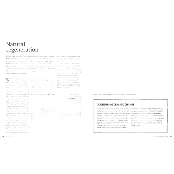 Two-page spread from a comprehensive guide on small woodland management, featuring detailed text, a photograph of outdoor woodland trees and plants, and a boxed section discussing climate change, styled in an instructional layout suitable for home and garden enthusiasts.