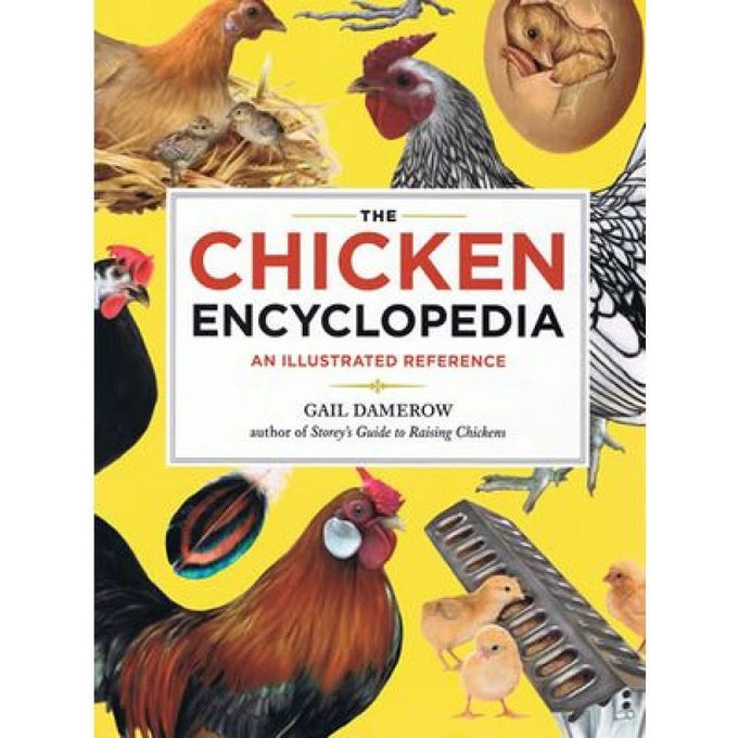 Book cover featuring colorful illustrated chickens, chicks, a hatching egg, and poultry-related tools on a bright yellow background, part of Farm, Garden & Tool, Toys, Books & Games, Chicken Accessories, and Best Sellers collections.