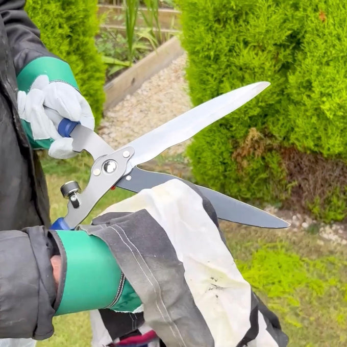 Person wearing green and white protective gloves holding a pair of lightweight telescopic hedge shears with extended aluminum handles while trimming shrubs outdoors, featured in Farm, Garden & Tool and Lawncare collections.