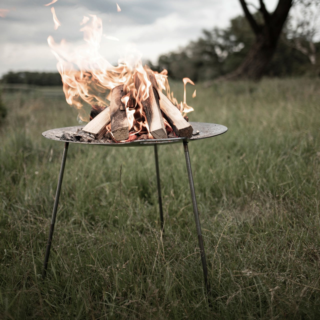 Metal tripod fire bowl burning wood logs on grass field, ideal for outdoor camping, farm, and garden use, featured in Best Sellers and Promo Eligible collections.