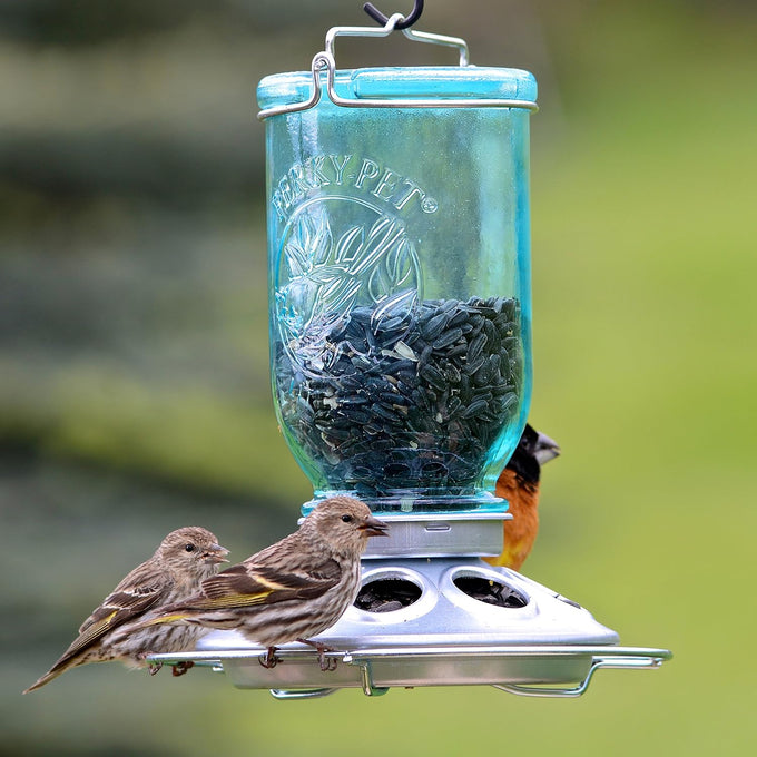 Handcrafted tinted-blue glass feeder jar with metal base and feeding ports, filled with black oil sunflower seeds, attracting small wild birds, featured in Farm, Garden & Tool and Animal Care collections.