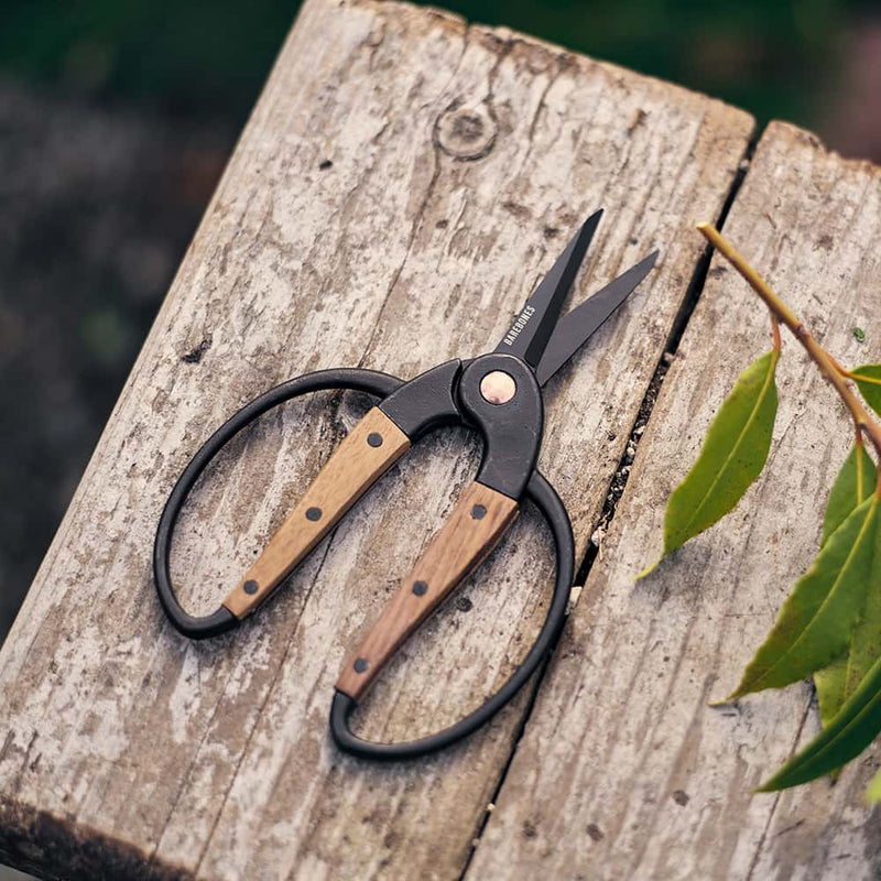 Small garden scissors with heat-treated stainless steel blades and wide walnut handles featuring an ambidextrous grip, ideal for precise herb harvesting in Farm, Garden & Tool and Garden Accessories collections.