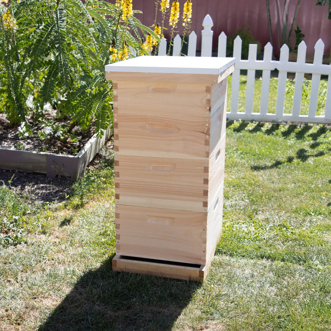 Handcrafted Amish made wooden 10-frame beehive combo with smooth natural finish, featuring deep and medium boxes, a top cover, and screen bottom, ideal for farm and garden beekeeping supplies.