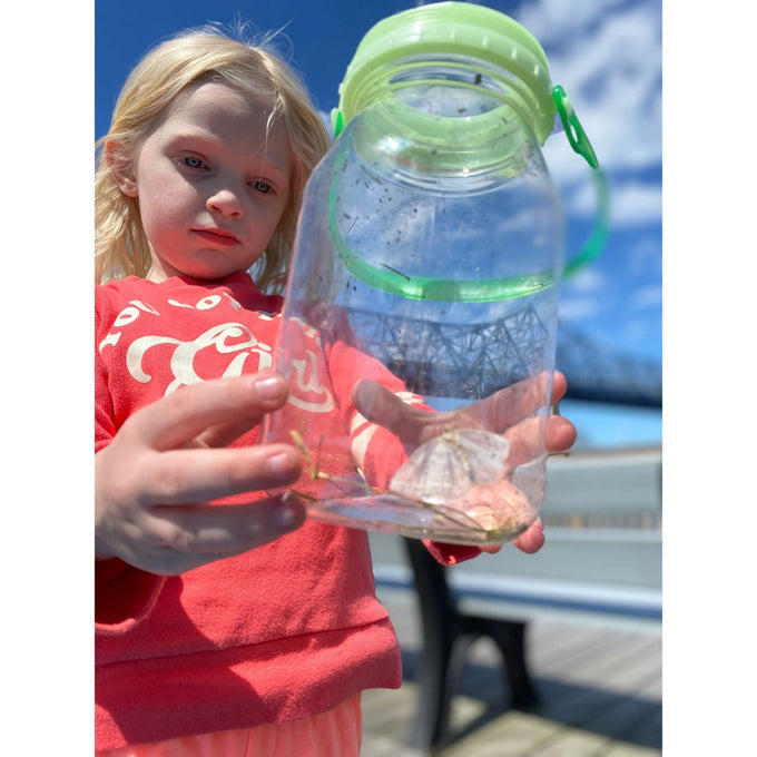 Child holding a handcrafted mason jar bug catcher with a green lid, containing captured insects, outdoors on a sunny day; ideal for children's outdoor play and learning.