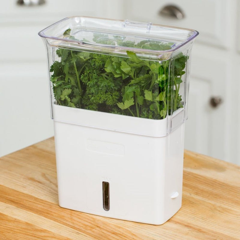 Compact herb keeper with clear upper section and white base, featuring removable dividers and air vents to prolong freshness, perfect for kitchen storage and food collections.