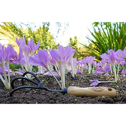 Handcrafted three-tine cultivator with smooth wooden handle resting on soil among blooming purple flowers, ideal for Farm, Garden & Tool and Digging and Cultivating collections.