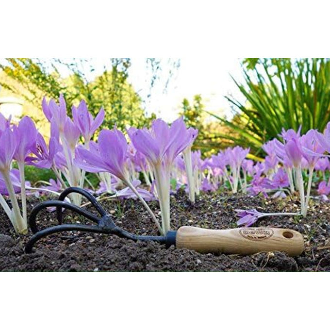 Handcrafted three-tine cultivator with smooth wooden handle resting on soil among blooming purple flowers, ideal for Farm, Garden & Tool and Digging and Cultivating collections.