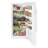 Open upright Amish made gas freezer filled with assorted frozen foods and packaged goods, showcasing spacious storage without electricity in USA Made Appliances and Refrigerators and Freezers collections.