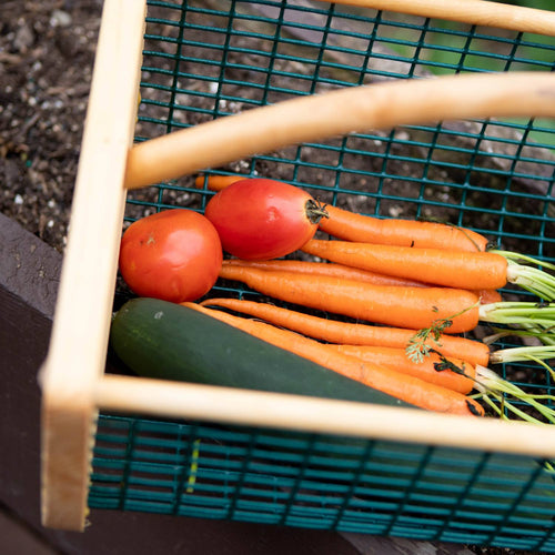 Handcrafted garden hod with wire mesh sides and wooden frame, made in USA, shown holding fresh carrots, tomatoes, and a cucumber, ideal for harvest washing and draining in Farm, Garden & Tool collections.