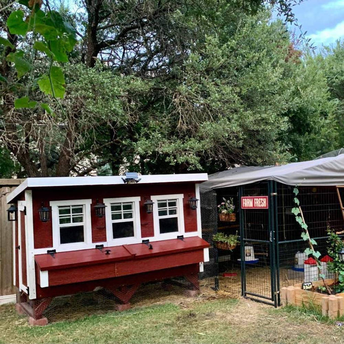 Handcrafted heavy-duty chicken coop in rich red with white trim, featuring multiple windows and a secure wire run, designed for year-round use in farm, garden, and chicken accessory collections.