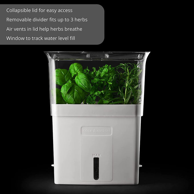 Clear herb keeper with white base featuring removable divider for up to three herbs, built-in air vents for breathability, and a refill window to monitor water level in kitchen collections.