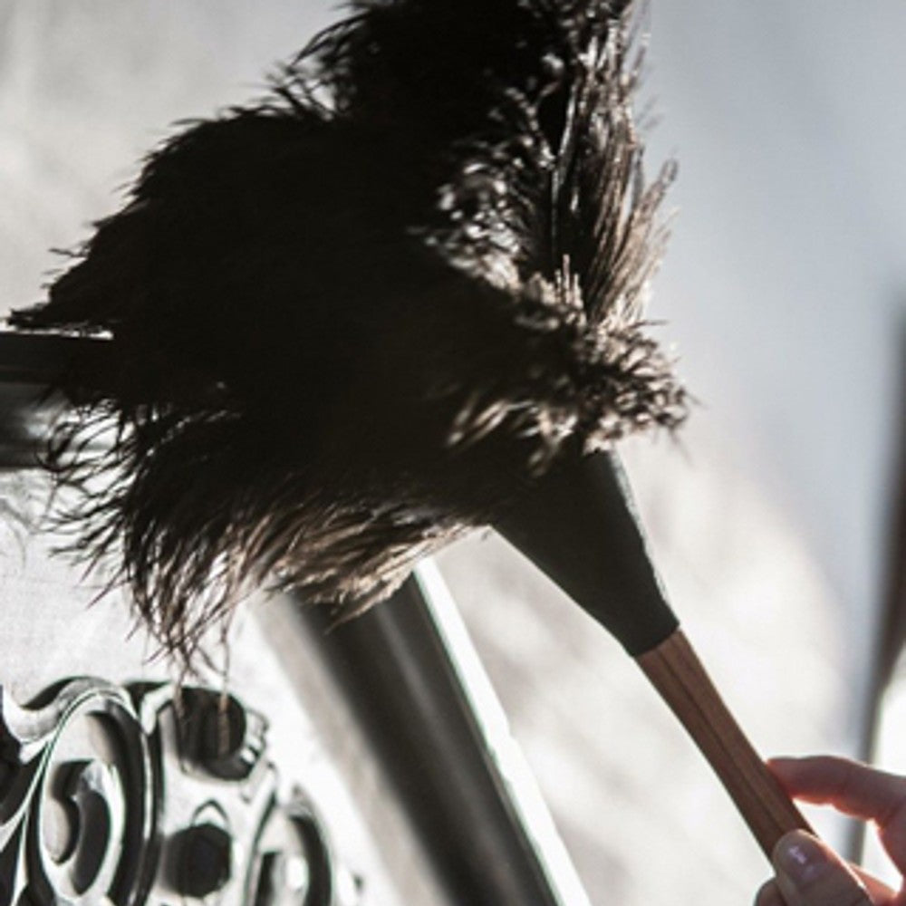 Handheld 13-inch ostrich feather duster with soft, delicate filaments on wooden handle, perfect for gentle dusting in Home & Decor, Household Cleaning, and Best Sellers collections.