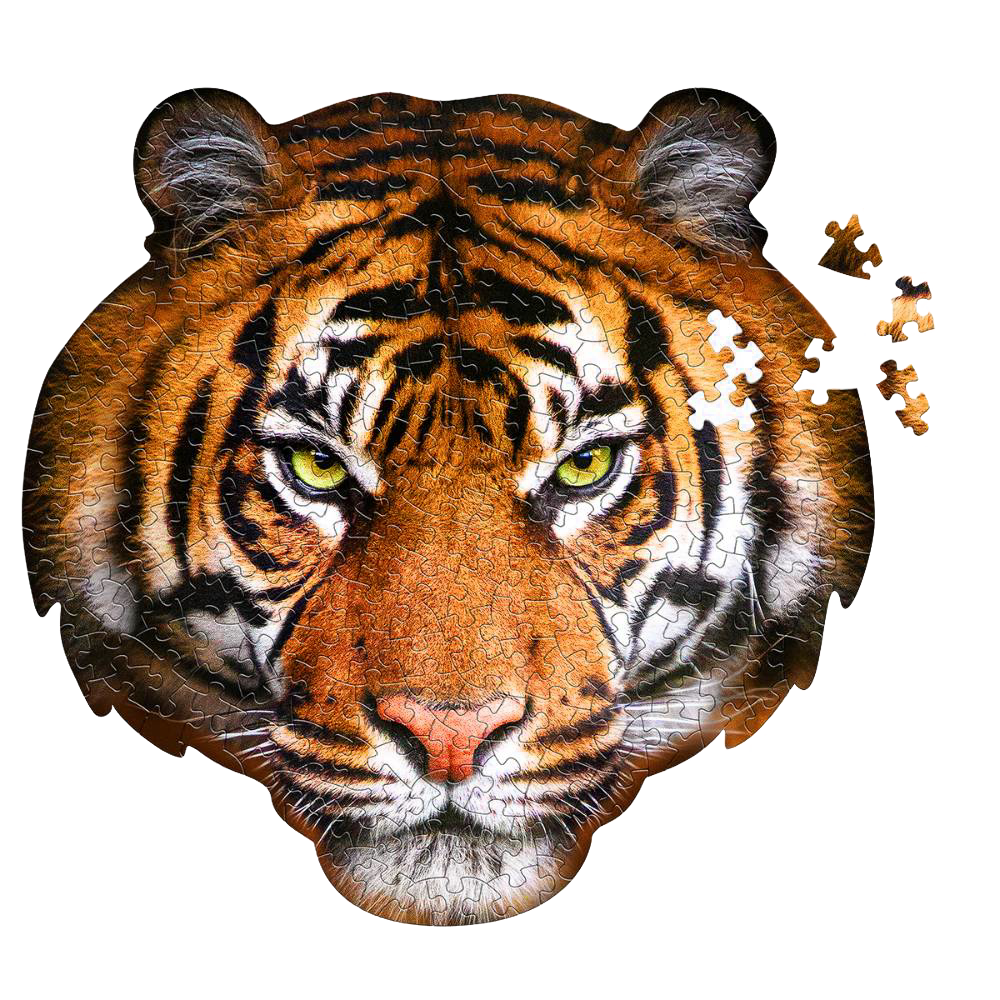 Partially assembled 300-piece tiger head shaped puzzle with vivid orange and black stripes, featuring loose pieces and educational content, ideal for children's toys and games collections.