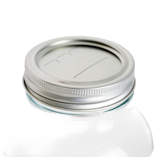 Silver metal regular-mouth canning lid and band set with BPA-free sealing compound on a clear glass jar, ideal for kitchen food preservation in Canning and Kitchen & Food collections.