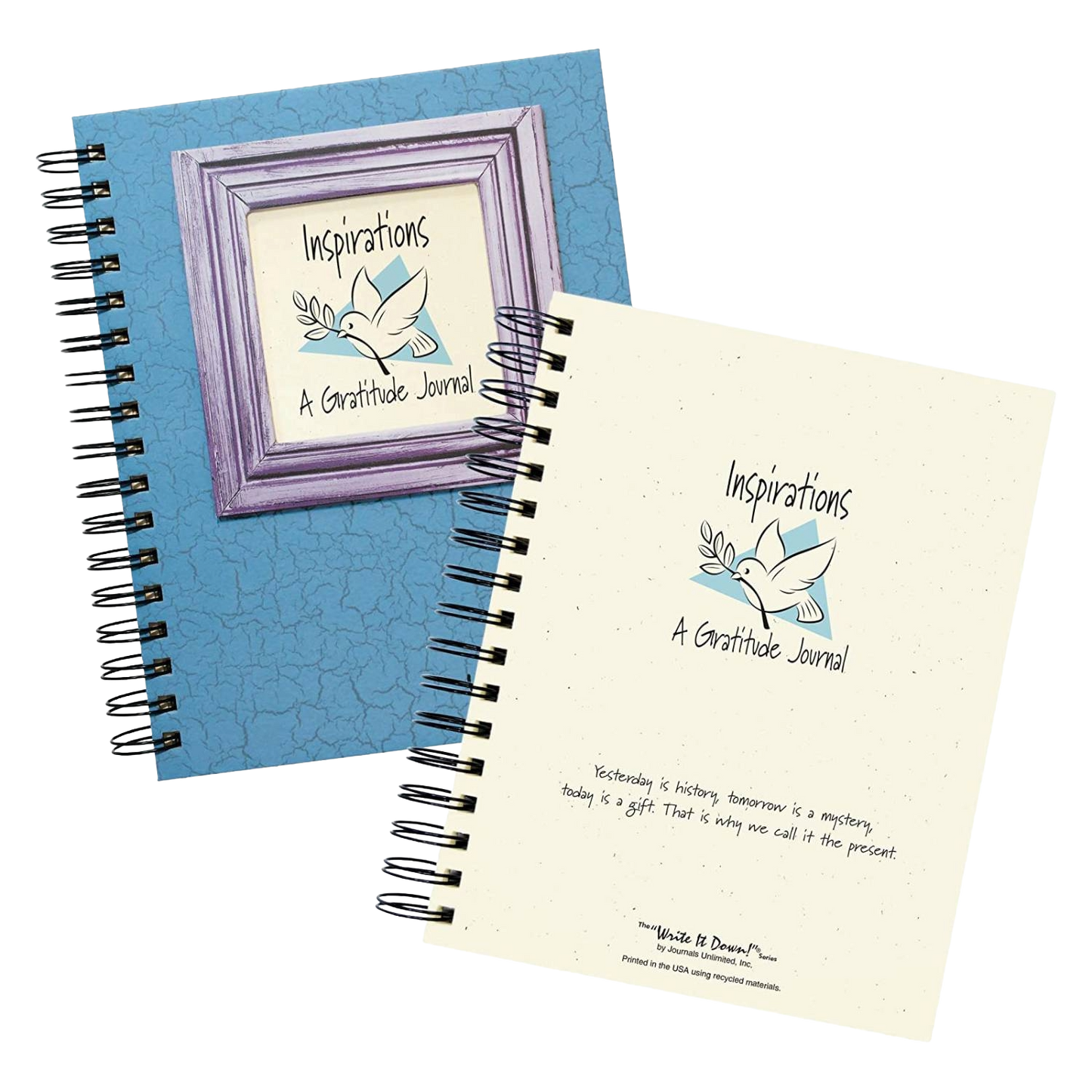 Gratitude Journal - Write it Down! Guided Journal