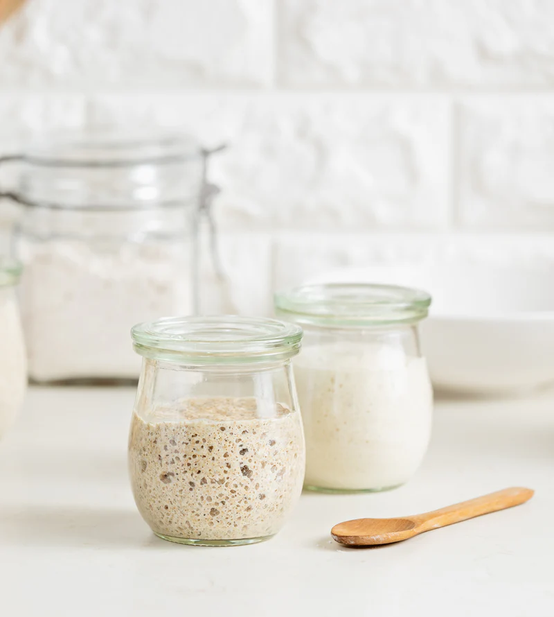 NutriMill Dry Sourdough Starter