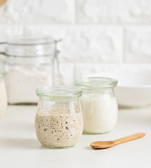 NutriMill Dry Sourdough Starter