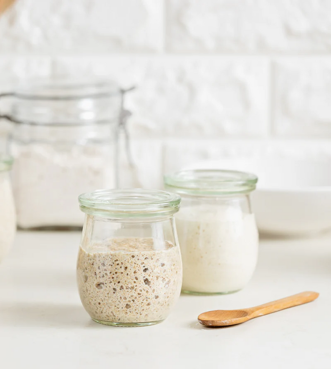 NutriMill Dry Sourdough Starter