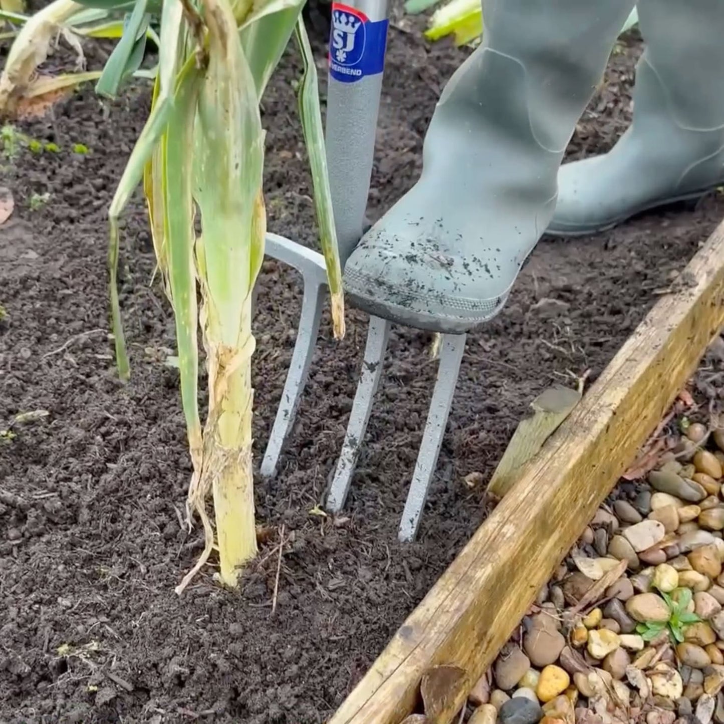 Person wearing green boots using a heavy-duty forged carbon steel digging fork to loosen soil around plants in a garden bed, suitable for farm, garden, and lawncare tasks.