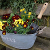 Garden scene featuring a weathered metal tub filled with vibrant pansies and yellow daffodils alongside a forged gardening trowel with a wooden handle, ideal for Farm, Garden & Tool and Digging and Cultivating collections.
