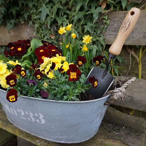 Garden scene featuring a weathered metal tub filled with vibrant pansies and yellow daffodils alongside a forged gardening trowel with a wooden handle, ideal for Farm, Garden & Tool and Digging and Cultivating collections.