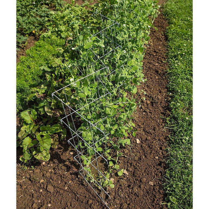 Handcrafted metal garden fence supporting pea plants in a vegetable patch, made in USA, featured in Farm, Garden & Tool, Seeds and Planting, and Best Sellers collections.