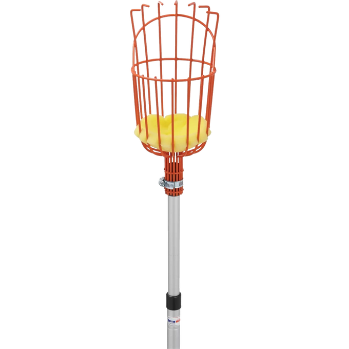 Enameled steel fruit picking basket with padded yellow base attached to an adjustable telescoping aluminum pole, ideal for Farm, Garden & Tool, Apple Harvest Supplies, and Best Sellers collections.