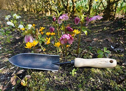 Handcrafted forged transplant trowel with a narrow black blade and smooth wooden handle resting on a mossy garden bed surrounded by blooming yellow and purple flowers, perfect for Farm, Garden & Tool, Digging and Cultivating, Garden Accessories, and Best Sellers collections.