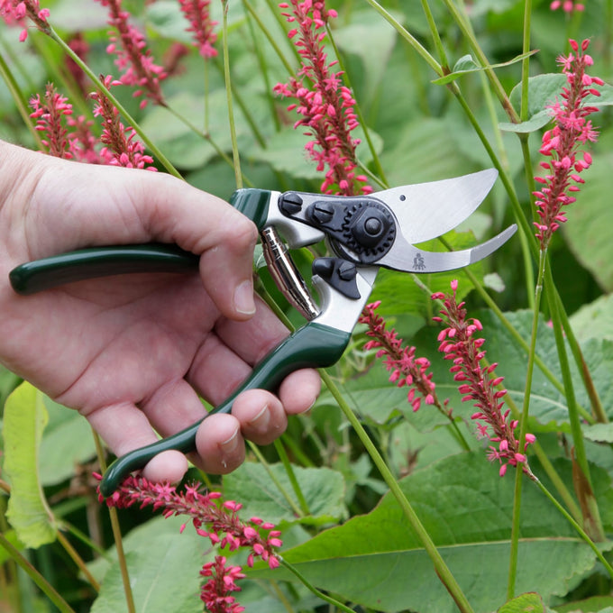 Hand-held left-handed bypass pruners with green handles and a notched razor-sharp blade, used for precise pruning of shrubs and flowers in Farm, Garden & Tool, Garden Accessories, Lawncare, and Best Sellers collections.