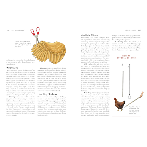 Two-page spread from an illustrated farming guidebook showing a detailed diagram of a chicken wing with labeled parts on the left page and text blocks, along with images of poultry tools and a chicken on the right page, featured in Farm, Garden & Tool, Toys, Books & Games, Chicken Accessories, Books, Farm and Livestock Books, and Best Sellers collections.