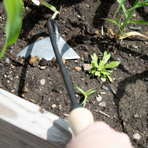 Handcrafted Dutch garden hand hoe with a forged steel blade and wooden handle weeding soil in a raised garden bed, ideal for Farm, Garden & Tool, Garden Accessories, Best Sellers, and Promo Eligible collections.